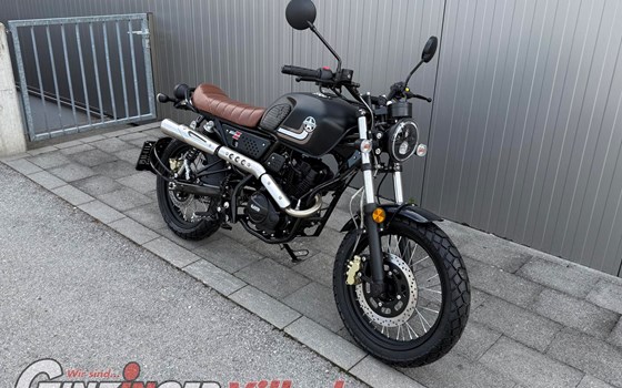 Neufahrzeug United Motors UM Scrambler X Naked 125 - Bild 1 Neufahrzeug United Motors UM Scrambler X Naked 125 - Bild 1