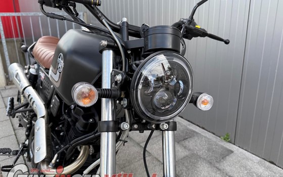 Neufahrzeug United Motors UM Scrambler X Naked 125 - Bild 9 Neufahrzeug United Motors UM Scrambler X Naked 125 - Bild 9