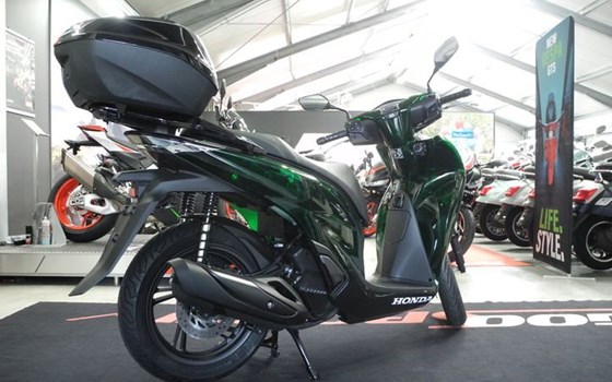 Neufahrzeug Honda SH150i - Bild 12