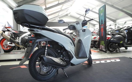 Neufahrzeug Honda SH150i - Bild 9