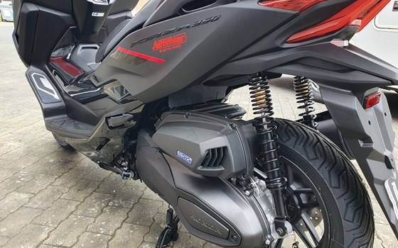 Gebrauchtmotorrad Honda Forza 350 - Bild 12