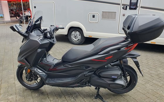 Gebrauchtmotorrad Honda Forza 350 - Bild 13