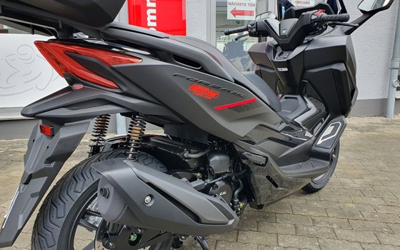 Gebrauchtmotorrad Honda Forza 350 - Bild 9