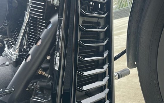 Gebrauchtmotorrad Harley-Davidson Softail Street Bob 114 FXBBS - Bild 9