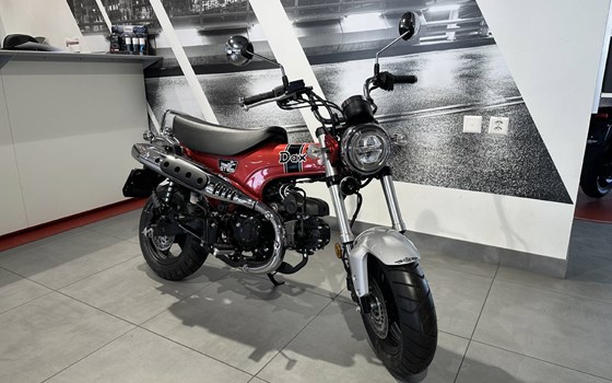 Neufahrzeug Honda Dax 125 - Bild 1