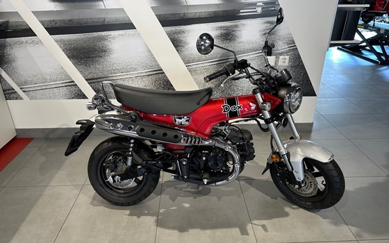 Neufahrzeug Honda Dax 125 - Bild 16