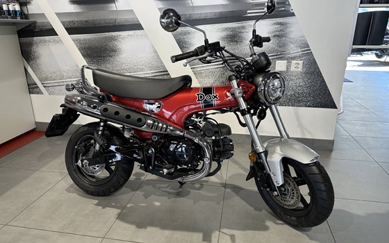 Neufahrzeug Honda Dax 125 - Bild 2