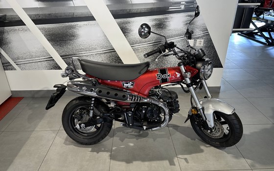 Neufahrzeug Honda Dax 125 - Bild 3