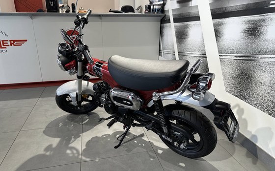 Neufahrzeug Honda Dax 125 - Bild 6