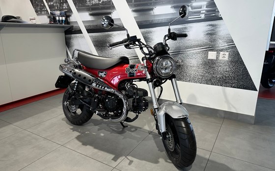 Neufahrzeug Honda Dax 125 - Bild 8