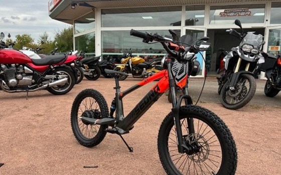 Neufahrzeug Apollo Commander 1000W - Bild 6