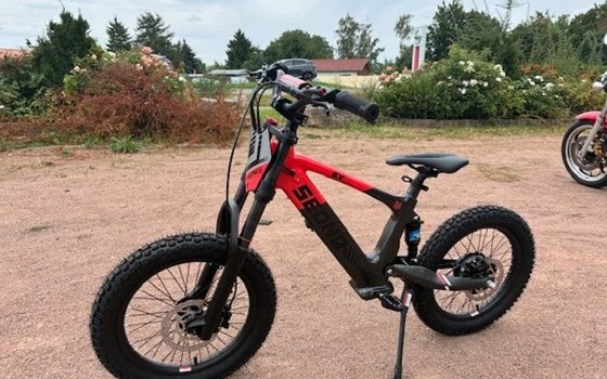 Neufahrzeug Apollo RX 250 - Bild 8