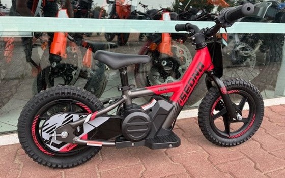 Neufahrzeug Apollo Commander 1000W - Bild 2