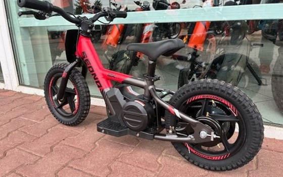 Neufahrzeug Apollo Commander 1000W - Bild 4