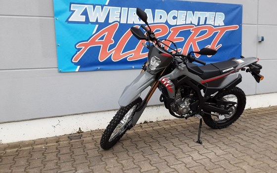 Gebrauchtmotorrad Honda CRF300L - Bild 5
