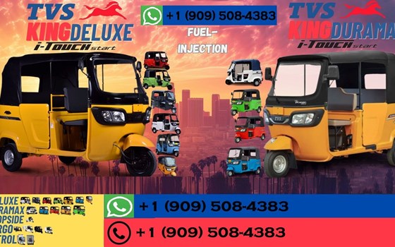 Gebrauchtmotorrad TVS Ronin - Bild 1