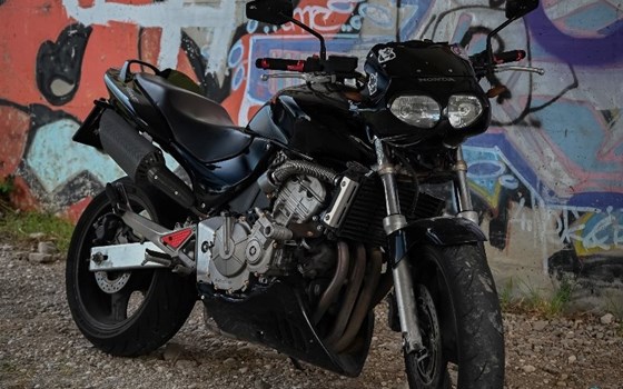 Gebrauchtmotorrad Honda CB 600 F Hornet - Bild 3 Gebrauchtmotorrad Honda CB 600 F Hornet - Bild 3