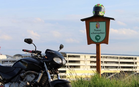 Gebrauchtmotorrad Honda CB 600 F Hornet - Bild 7 Gebrauchtmotorrad Honda CB 600 F Hornet - Bild 7