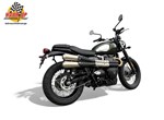Angebot Triumph Scrambler 900