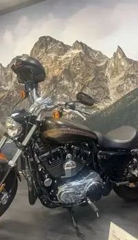 Gebrauchtmotorrad Harley-Davidson Sportster XL 1200C Custom - Bild 6