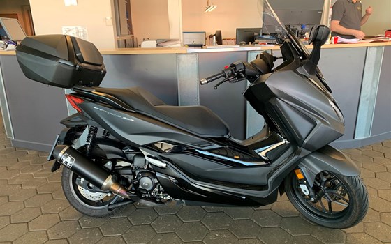 Gebrauchtmotorrad Honda Forza 350 - Bild 3 Gebrauchtmotorrad Honda Forza 350 - Bild 3