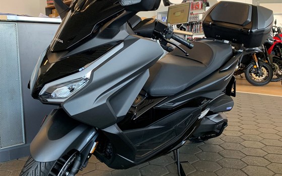 Gebrauchtmotorrad Honda Forza 350 - Bild 1 Gebrauchtmotorrad Honda Forza 350 - Bild 1