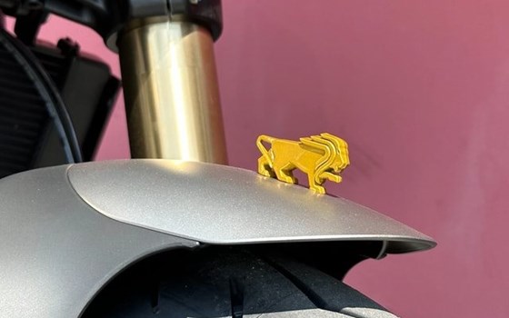 Neufahrzeug Benelli Leoncino 800 - Bild 9