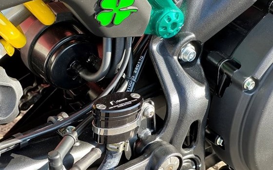 Neufahrzeug Benelli Leoncino 800 - Bild 12