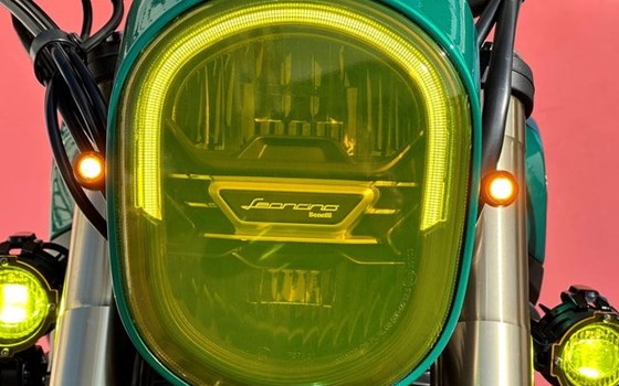 Neufahrzeug Benelli Leoncino 800 - Bild 8