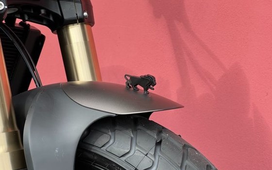 Neufahrzeug Benelli Leoncino 800 - Bild 7