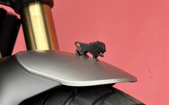 Neufahrzeug Benelli Leoncino 800 Trail - Bild 5