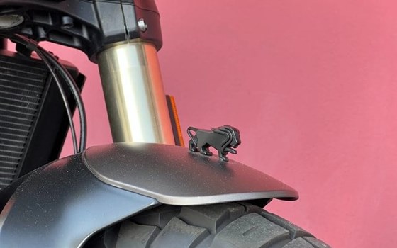 Neufahrzeug Benelli Leoncino 800 Trail - Bild 11