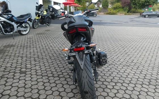 Neufahrzeug Voge R625 - Bild 7