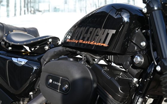 Gebrauchtmotorrad Harley-Davidson Sportster XL 1200X Forty-Eight - Bild 5