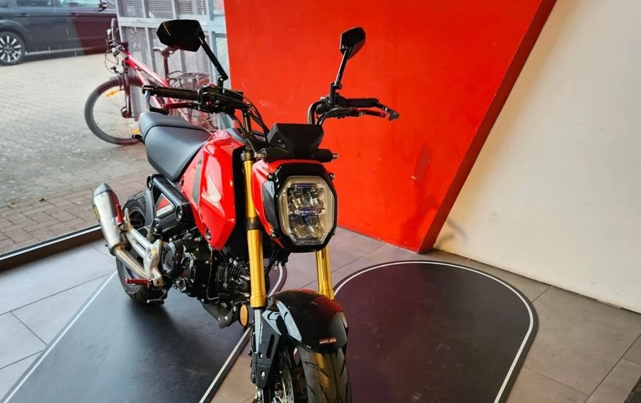 Angebot Honda MSX125 Grom Bild 9: Angebot Honda MSX125 Grom