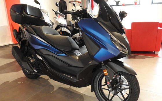 Neufahrzeug Honda Forza 125 - Bild 2