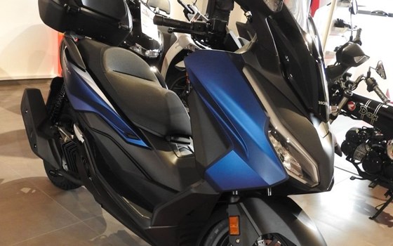 Neufahrzeug Honda Forza 125 - Bild 3