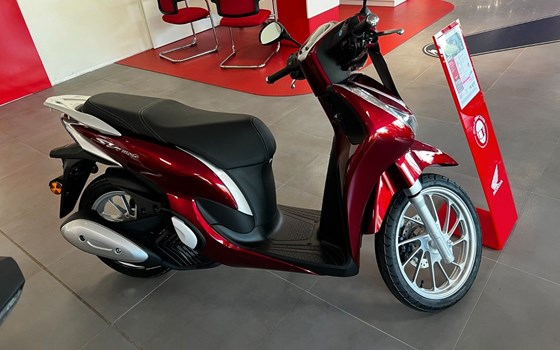 Gebrauchtmotorrad Honda SH125 - Bild 2