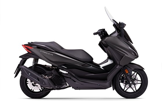 Neufahrzeug Honda Forza 125 - Bild 10 Neufahrzeug Honda Forza 125 - Bild 10
