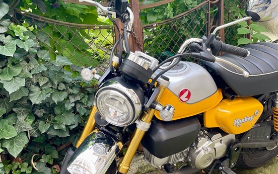 Gebrauchtmotorrad Honda Monkey 125 - Bild 2