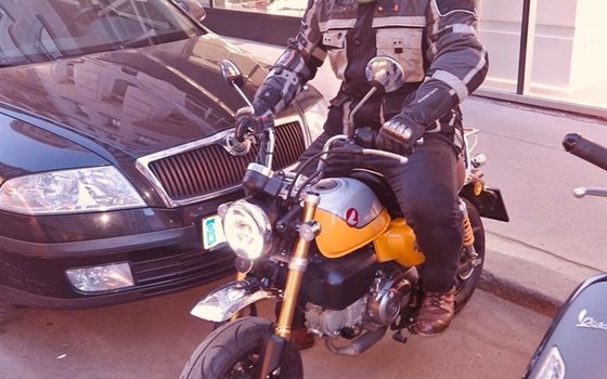 Gebrauchtmotorrad Honda Monkey 125 - Bild 5