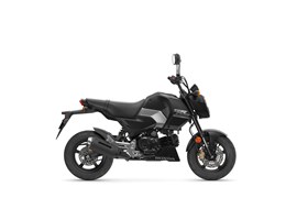 Neumotorrad Honda MSX125 Grom