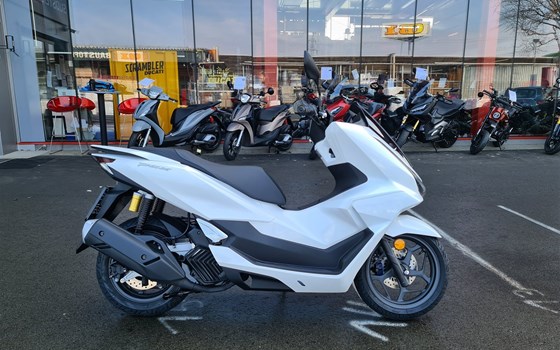 Neufahrzeug Honda PCX125 - Bild 1 Neufahrzeug Honda PCX125 - Bild 1