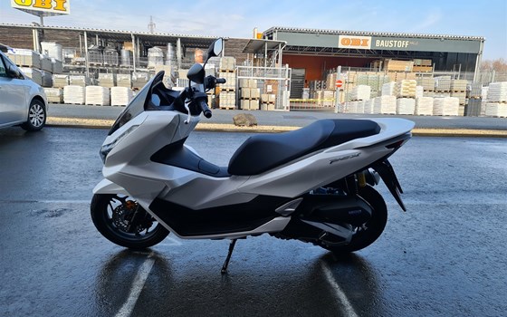 Neufahrzeug Honda PCX125 - Bild 6 Neufahrzeug Honda PCX125 - Bild 6