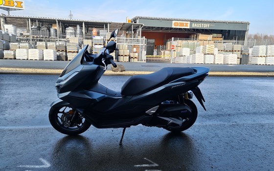 Neufahrzeug Honda PCX125 - Bild 6 Neufahrzeug Honda PCX125 - Bild 6