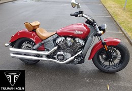 Gebrauchte Indian Scout