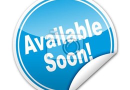 Gebrauchte Yamaha MT-09 Y-AMT 35kW