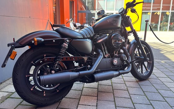 Gebrauchtmotorrad Harley-Davidson Sportster XL 883 N Iron - Bild 3 Gebrauchtmotorrad Harley-Davidson Sportster XL 883 N Iron - Bild 3