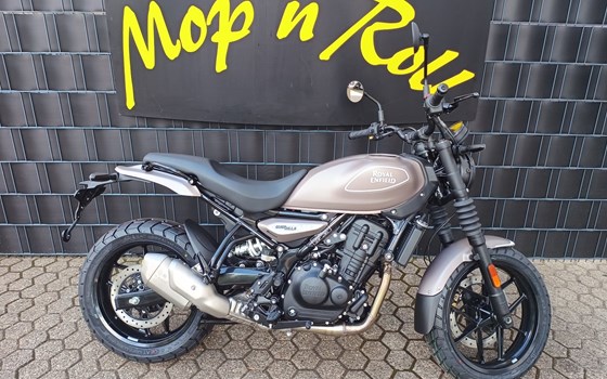 Neufahrzeug Royal Enfield Guerrilla 450 - Bild 1