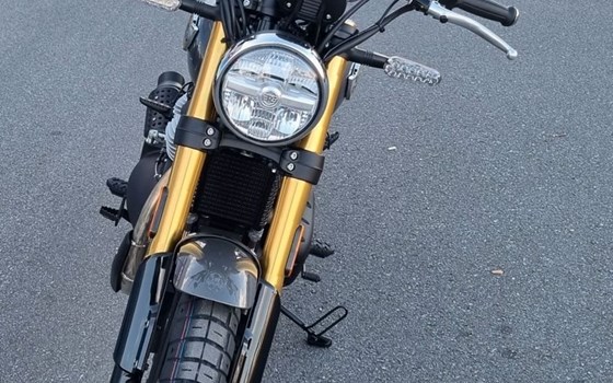 Neufahrzeug Royal Enfield Bear 650 - Bild 13